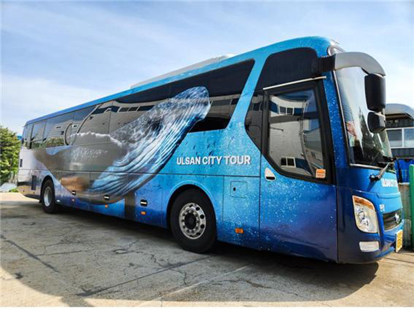 울산시티투어버스가 바닷속을 유영하는 혹등고래를 3D로 랩핑했다.(사진=울산시)